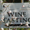 2009 10-Lodi Wine Tasting